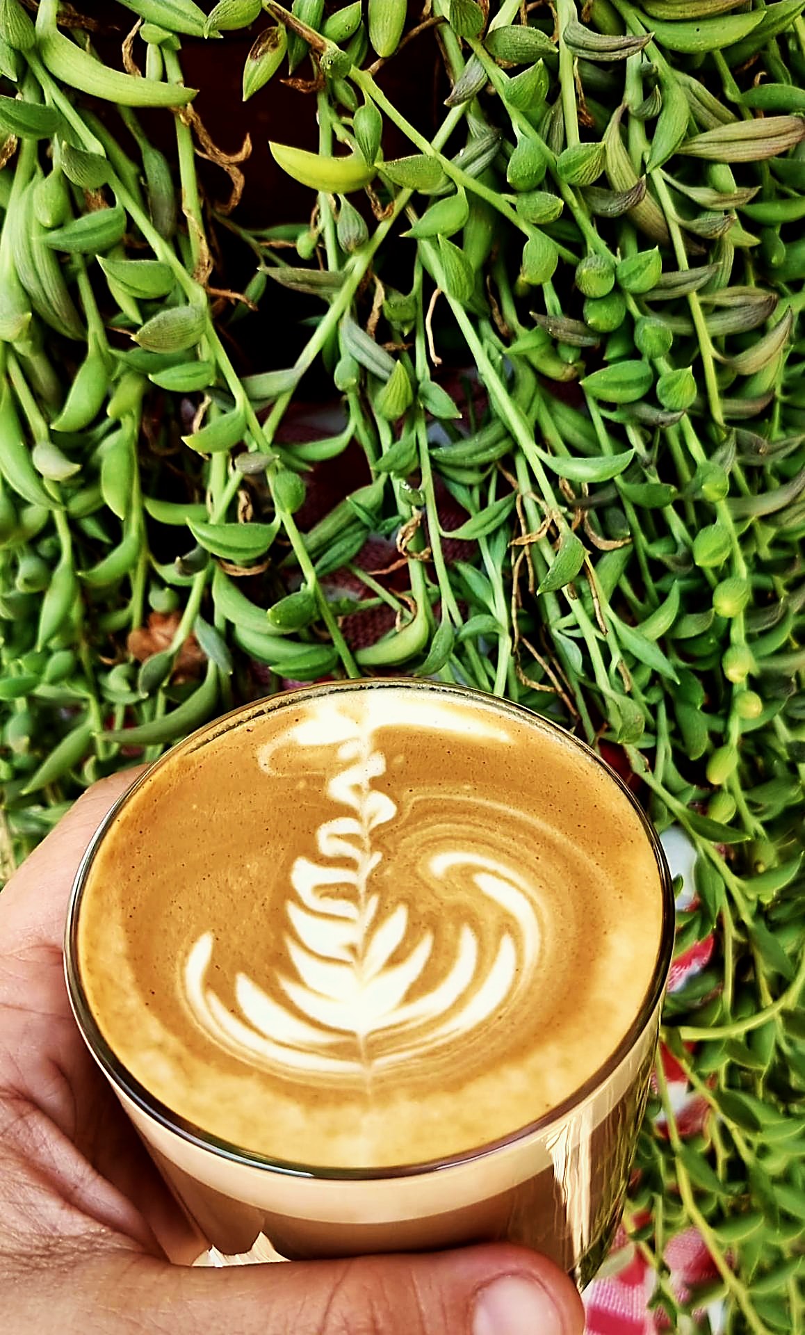 Latte art served at home among plants